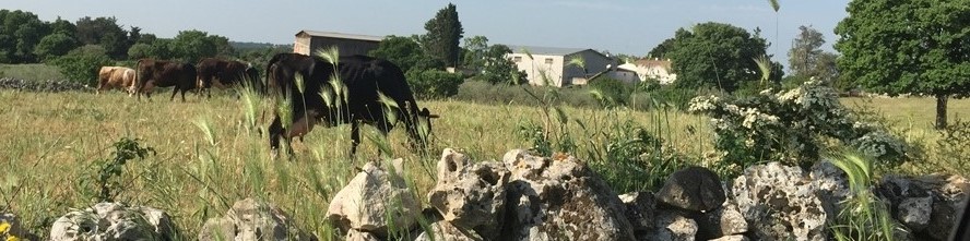 blog pugliavventura fauna puglia