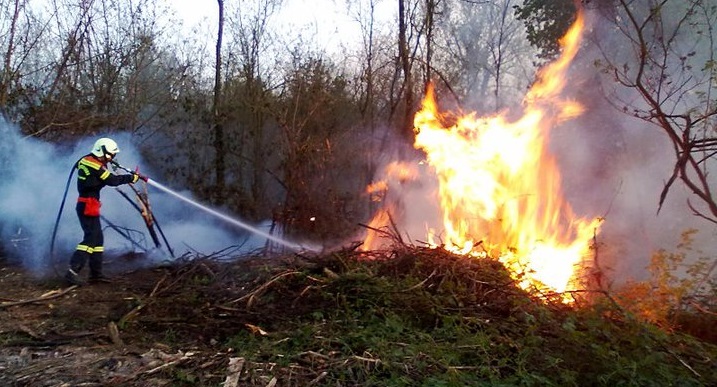 incendi-boschivi