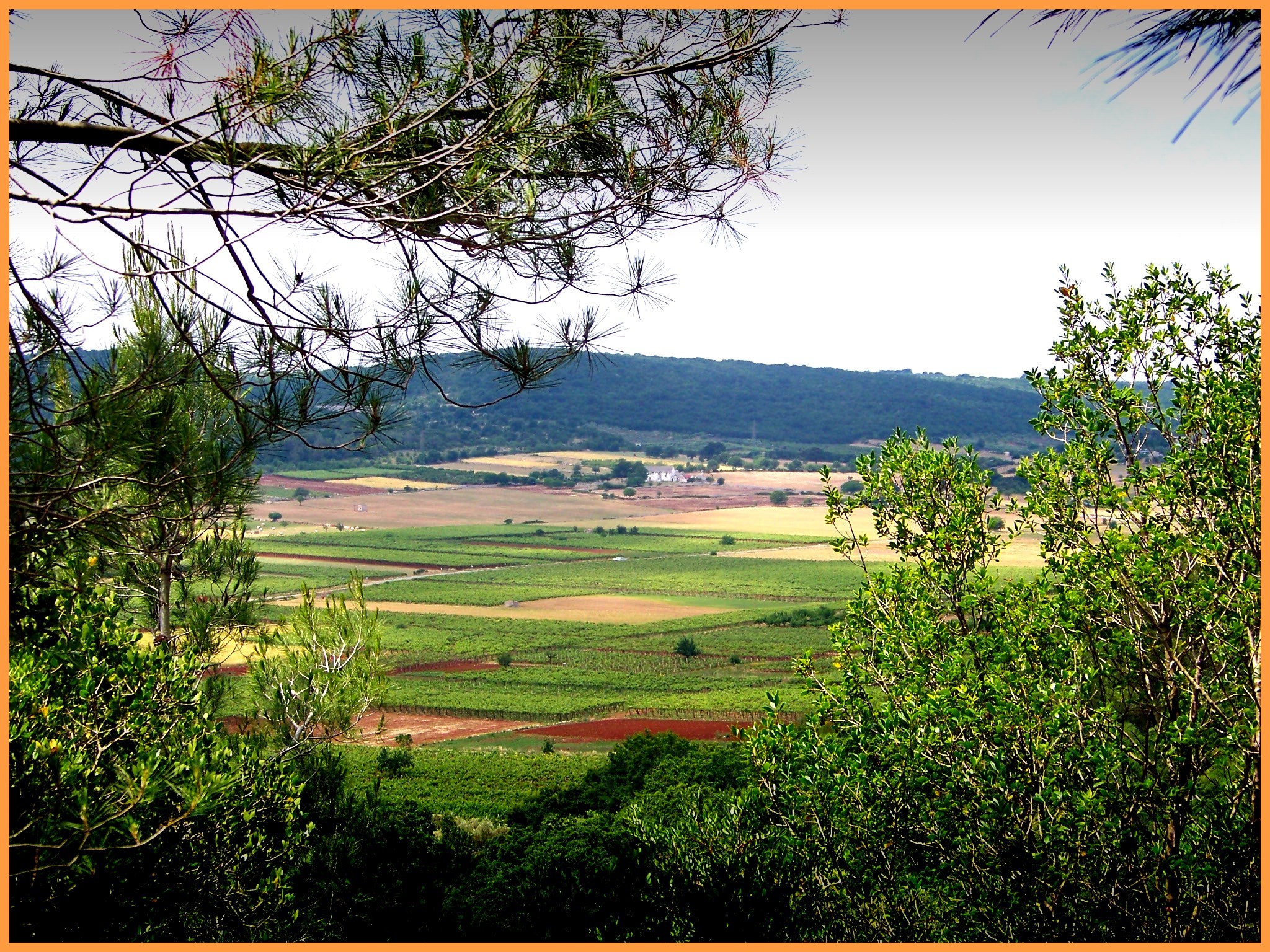 ESCURSIONI TREKKING PUGLIA PUGLIAVVENTURA