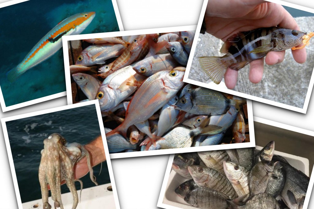 pescaturismo puglia