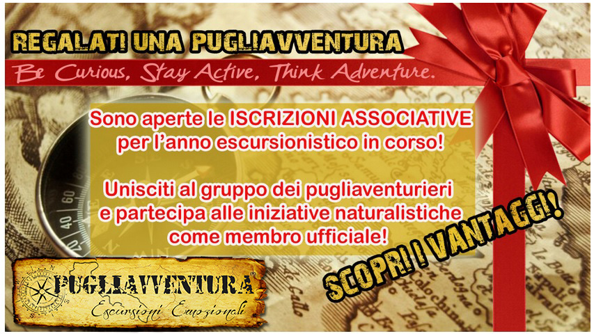 spot associazionismo